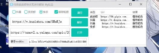 皮皮虾抖音快手无水印解析软件