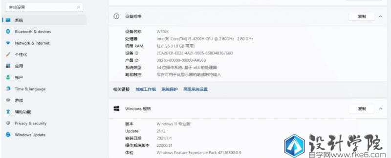Windows11安装教程（无视硬件标准和TMP2.0）